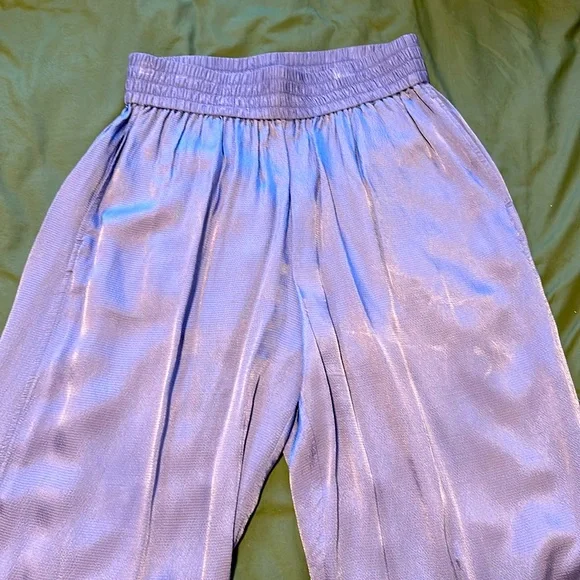 Everlane pebbled silky pants - Picture 1 of 6